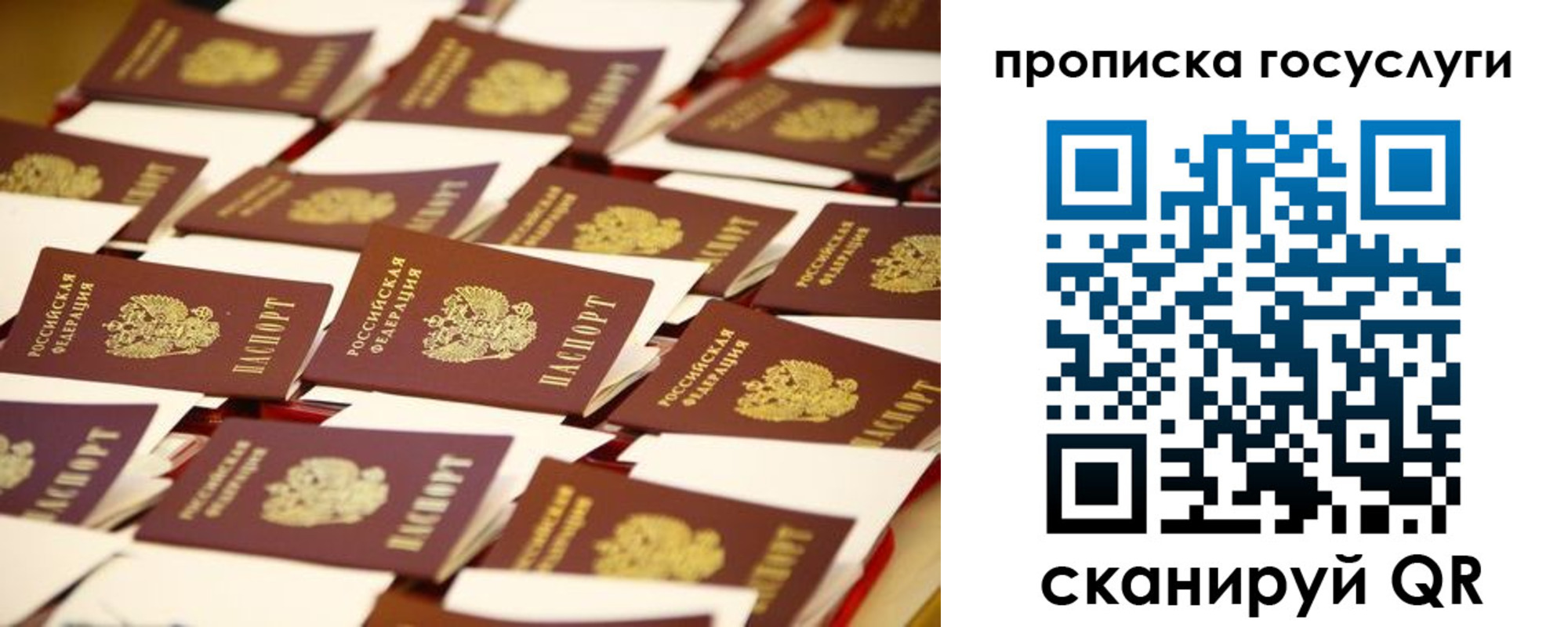 прописка гарантия в Шадринске
